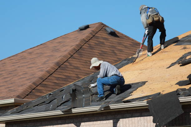 Best Metal Roofing Installation  in Big Lake, TX